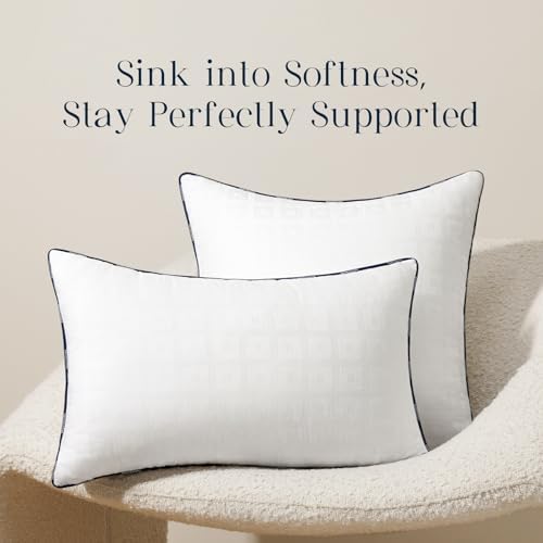 Phantoscope 12x20 Pillow Inserts, Lumbar Pillows - Image 6