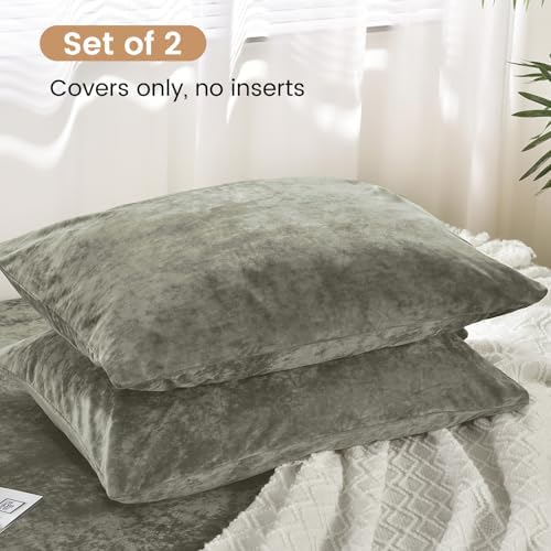 PHF Truly Velvet Pillowcases Standard Size 20" x 26", No Insert - Image 3