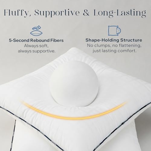 Phantoscope Throw Pillow Inserts - Image 5