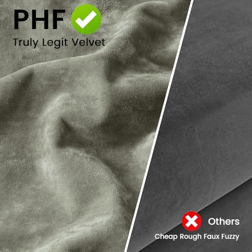 PHF Truly Velvet Pillowcases Standard Size 20" x 26", No Insert - Image 5