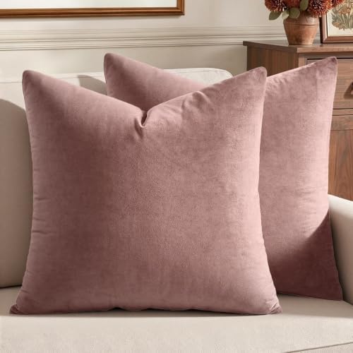 MIULEE Velvet Throw Pillow Covers 18x18 Inch Pack of 2 Jam by MIULEE