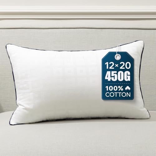 Phantoscope 12x20 Pillow Inserts, Lumbar Pillows by Phantoscope
