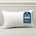 Phantoscope 12x20 Pillow Inserts, Lumbar Pillows by Phantoscope