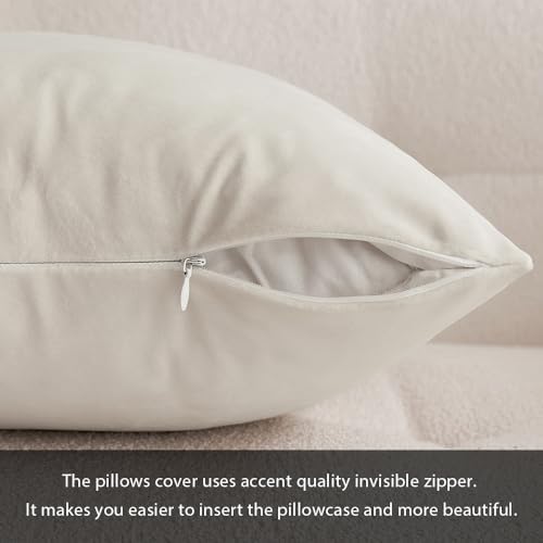 MIULEE 14x20 Inch Lumbar Velvet Throw Pillow Cover Set of 1 Cream White - Image 3