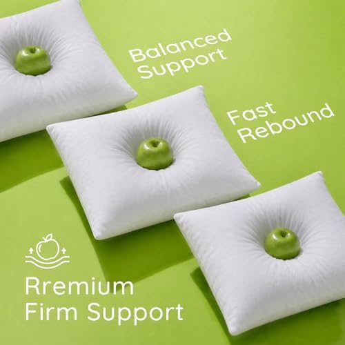 Ashler 20x20 Pillow Inserts - Image 4
