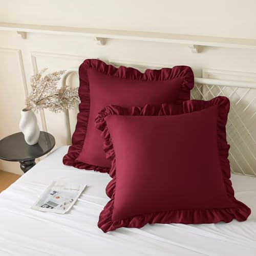 KKJIAF 2 Pack Ruffle Pillow Cases 20x20 Inches by KKJIAF