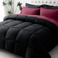JOLLYVOGUE Twin Comforter Set, Ultra-Soft Bed in a Bag Twin Size 5 Pieces by JOLLYVOGUE
