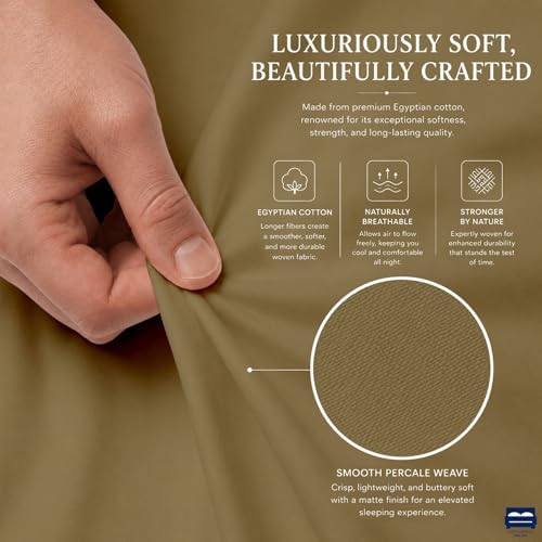 Cottingon 4 PC Olympic Queen Sheets, Egyptian Cotton - Image 6