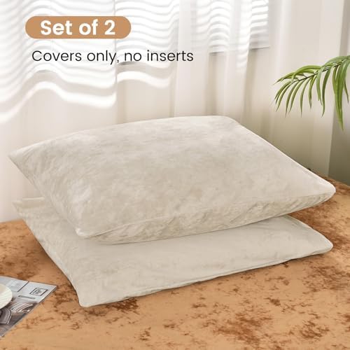 PHF Truly Velvet Pillowcases Standard Size 20" x 26", No Insert - Image 3