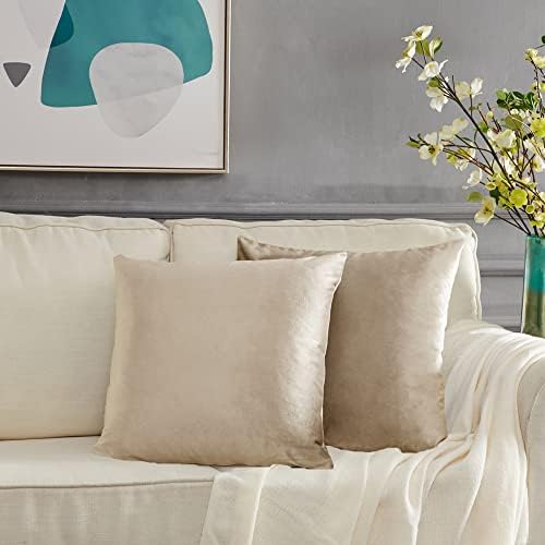 GIGIZAZA Velvet Champagne Throw Pillow Covers Decorative Cushion Covers Pillow - Image 2