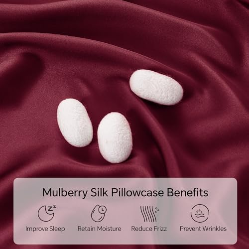 INFIIXSO Silk Pillow Cases 2 Pack, Standard Size, Hidden Zipper - Image 2
