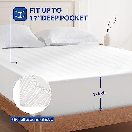 Sealy Heated Mattress Pad King Size - Image 3