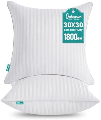 Oubonun 30 x 30 Throw Pillow Inserts Set of 2 by Oubonun