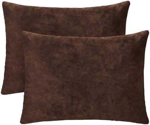 1 MIDDLE ONE 2 Pack Small Pillow, 16 X 12 Inches, Memory Foam Mini Pillow by 1MIDDLEONE