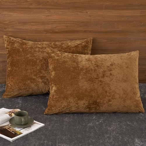 PHF Truly Velvet Pillowcases Standard 20"x26", Rusty Burnt Orange, No Insert by PHF