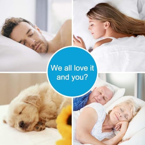 EASELAND Twin Size Mattress Topper Pillow Top Mattress Cover Quilted Fitted - Image 6