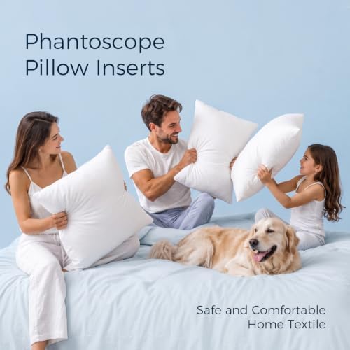 Phantoscope 16x20 Pillow Insert, Soft Lumbar Support Pillow - Image 2