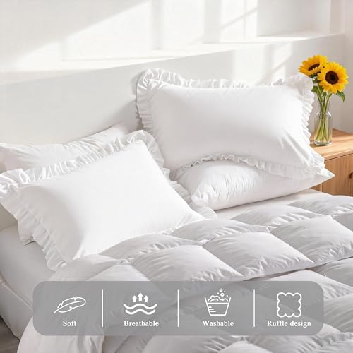 Ruffled Queen Pillow Shams, 2 Pack, 20x30 Inches - Image 4