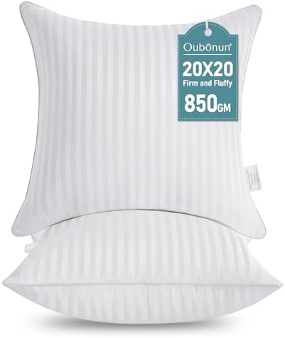 Oubonun 20 x 20 Throw Pillow Inserts Set of 2 by Oubonun