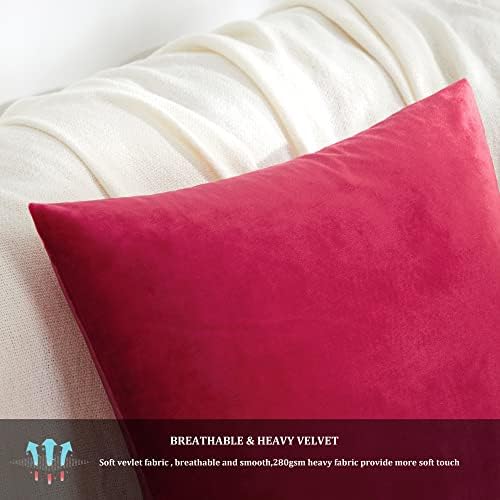 GIGIZAZA Decorative Throw Pillow Covers 20 x 20 - Image 5