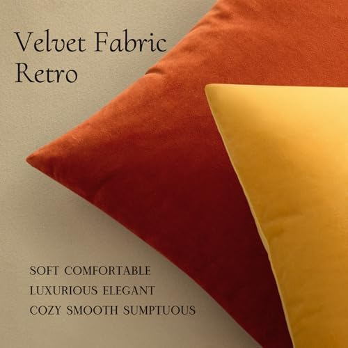 MIULEE 24x24 Inch Pack of 2 Euro Fall Velvet Pillow Covers Burnt Orange - Image 5