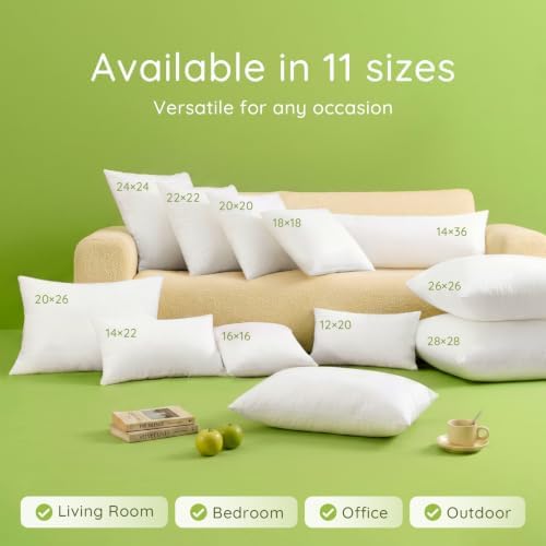 Ashler 26x26 Pillow Inserts, Decorative Throw Pillows - Image 5