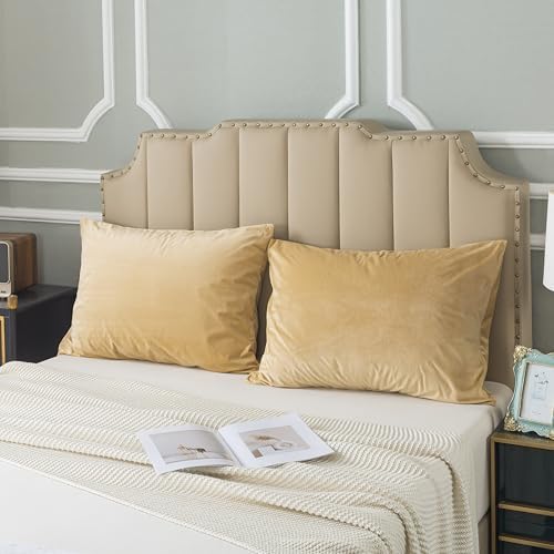 H HOUSEHOLD Set of 2 Velvet Queen Size Pillowcase, Soft and Cozy Luxury Fuzzy by HHOUSEHOLD