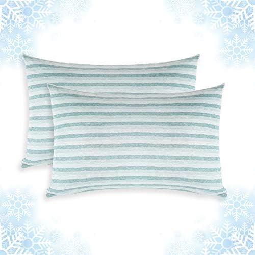 Cooling Pillow Cases Only, Queen Size Set of 2 by AilemeiDirect