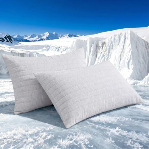 Swift Home Cooling Pillow Cases King Size Set of 2 by SWIFTHOME