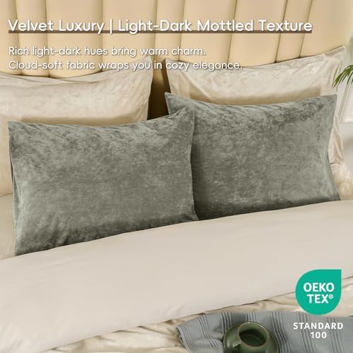 PHF Truly Velvet Pillowcases King Size 20" x 36", No Insert - Image 2