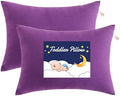 NTBAY Toddler Pillows, Down Alternative 13"x18" Pillows, Machine Washable by NTBAY