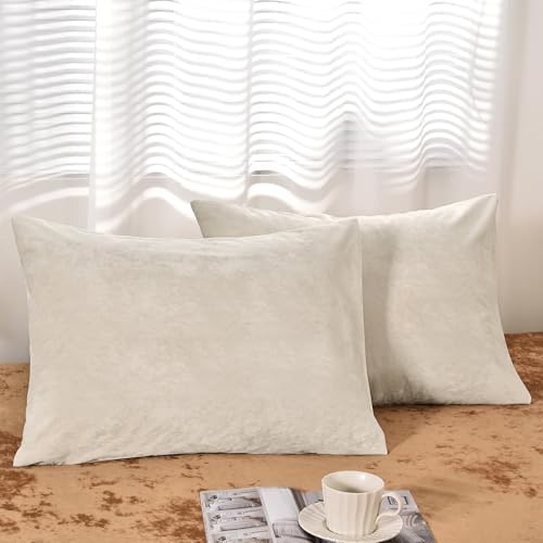 PHF Truly Velvet Pillowcases Standard Size 20" x 26", No Insert by PHF