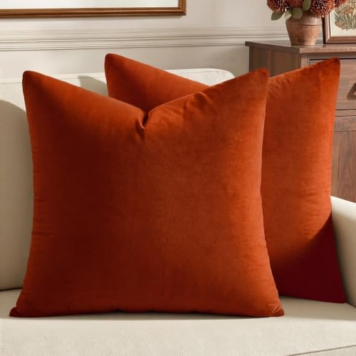 MIULEE 24x24 Inch Pack of 2 Euro Fall Velvet Pillow Covers Burnt Orange by MIULEE
