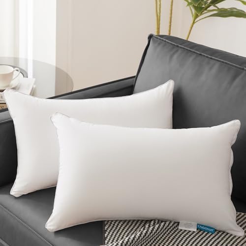 Oubonun 16 x 24 Pillow Inserts - Image 2