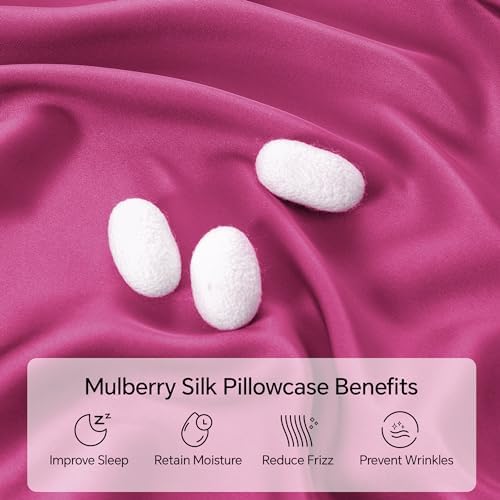 INFIIXSO Mulberry Silk Pillow Cases Queen Size - Image 2