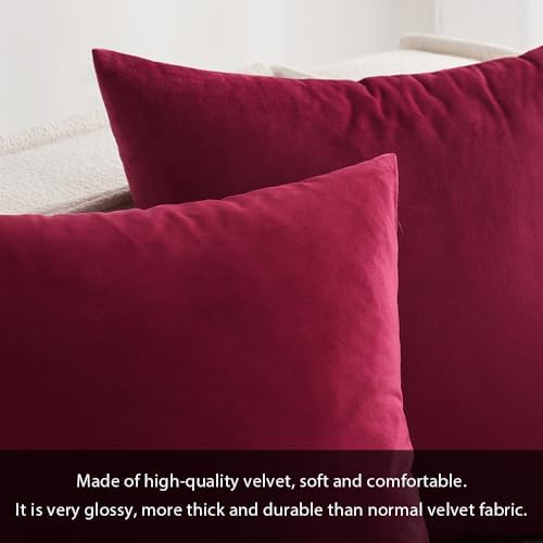MIULEE 24x24 Inch Pack of 2 Euro Velvet Throw Pillow Covers Wine Red - Image 2
