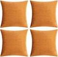 GIGIZAZA Decorative Throw Pillow Covers 16 x 16, Cinnamon Orange Soft Pillow by GIGIZAZAFocusingonhomedecoration