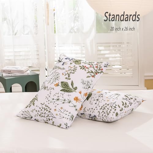 ECOCOTT 100% Cotton Pillowcases Standard Size, Floral Print Pattern Pillow - Image 2