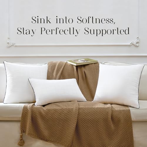 Phantoscope 18x18 Pillow Inserts, Decorative Throw Pillow Inserts - Image 6