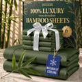 DECOLURE 100% Viscose Derived from Bamboo Sheets Queen Size by DECOLURE