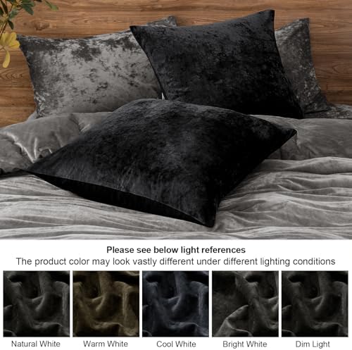 PHF Truly Velvet Throw Pillow Covers, No Insert, 2 Pack Color Gradient Cushion - Image 5