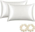 ALASKA BEAR Silk Pillowcase for Hair and Skin, Set of 2 Pure Genuine 22 Momme Mulberry Silk Pillow Cases Queen Size for Bliss Sleep Better Than Poly Satin, Zipper Closure(2pc,Ivory)