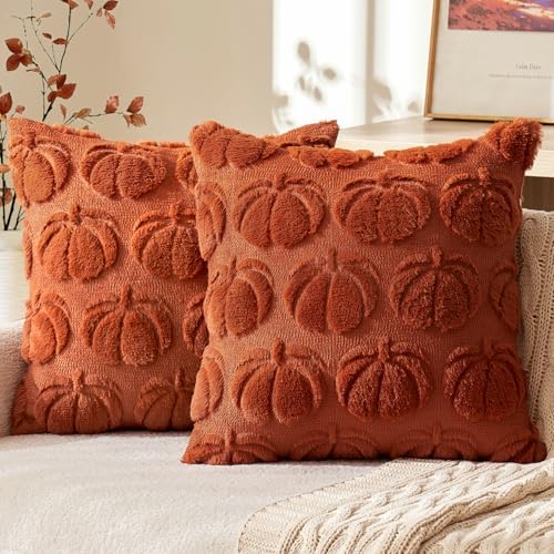 MIULEE Fall Pillow Covers Pumpkin Fall Decor 22x22 Rust by MIULEE