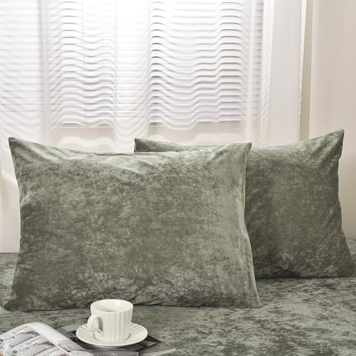 PHF Truly Velvet Pillowcases Standard Size 20" x 26", No Insert by PHF