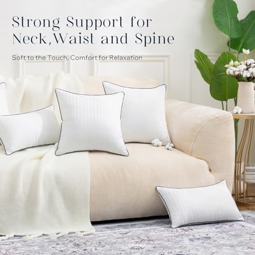 Phantoscope Throw Pillow Inserts - Image 6