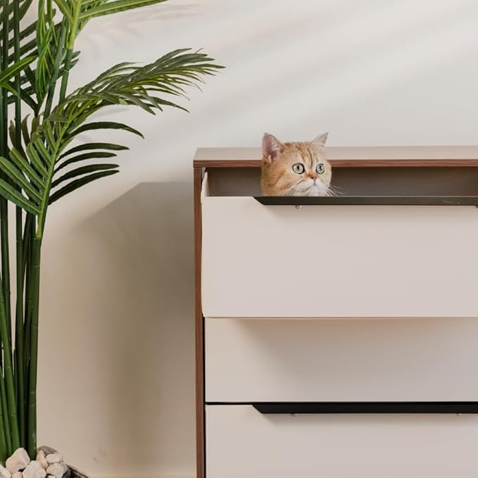 tinge Lira Premium Fabric Dresser - Solid Wooden Frame, 4 Spacious Sag-Proof Drawers with Sleek Metal Handles - Sleek & Durable Storage Solution for Your Home (Dark Brown)
