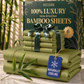 DECOLURE 100% Viscose Derived from Bamboo Sheets Queen Size by DECOLURE