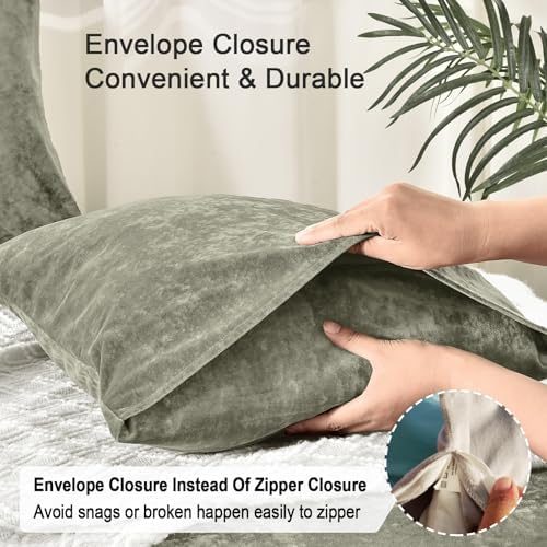 PHF Truly Velvet Pillowcases Standard Size 20" x 26", No Insert - Image 4