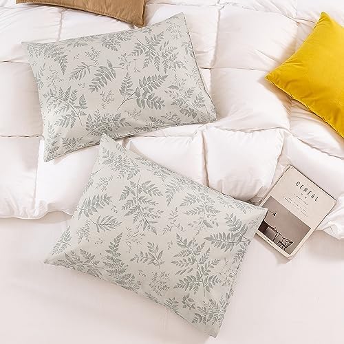 ECOCOTT 2 Pack Pillowcase King Size - Image 3