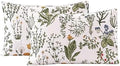 ECOCOTT 2 Pack Pillowcase Queen Size by ECOCOTT